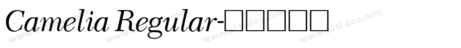 Camelia Regular字体转换